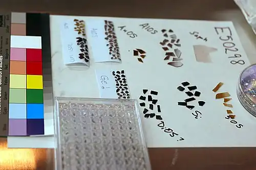 Fragments des collecteurs rassemblés par type de matériaux.