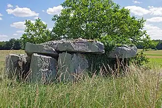 Dolmen de la Forêt.