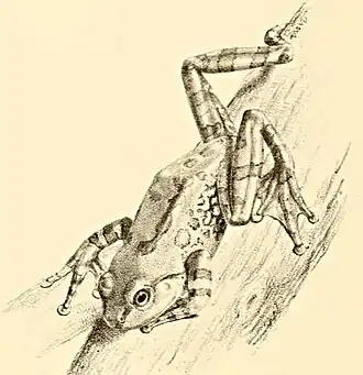 Description de cette image, également commentée ci-après