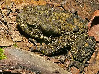 Description de cette image, également commentée ci-après