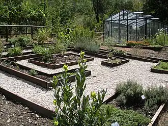 Le jardin botanique.