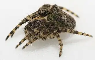 Description de cette image, également commentée ci-après