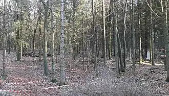 Gibet de Creuë. Le cabaret face à la structure des fourches patibulaires et du pilori. Où l'on remarque une forme de mise en scène.