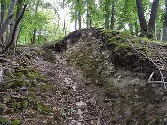 Image illustrative de l’article Château du Gigersbourg