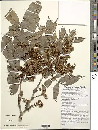 Description de cette image, également commentée ci-après