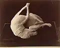 Photographie du moulage du corps d'un chien tué lors de l'éruption du Vésuve, retrouvé à Pompéi, 1863.