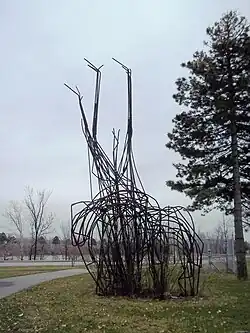 Girafes, 1967Île Sainte-Hélène