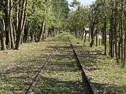 Végétation recouvrant la voie en direction de Gisors-Embranchement.