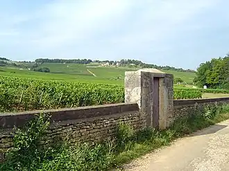 Image illustrative de l’article Givry (AOC)