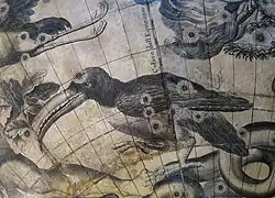 Globe céleste (détail)