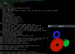 Description de l'image Glxinfo with glxgears screenshot.png.