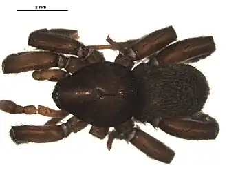 Description de cette image, également commentée ci-après