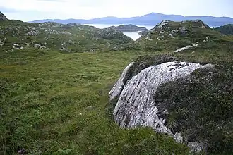 Du gneiss affleurant à South Rona.