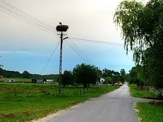 Aleksandria (Żyrardów)