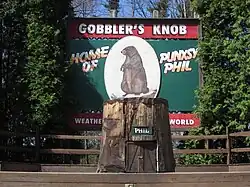 Photographie d'un tronc d'arbre portant une pancarte sur laquelle il est écrit Phil. En arrière-plan se trouve un panneau représentant une marmotte et intitulé Gobbler's Knob.