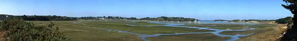 Vue panoramique d’une baie à marée basse.