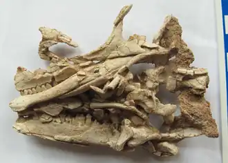 Description de cette image, également commentée ci-après