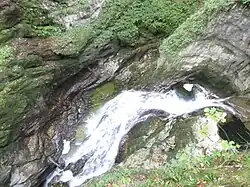Gorges de la Langouette, détail, octobre 2016.