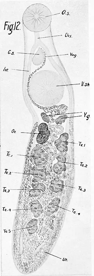 Description de cette image, également commentée ci-après