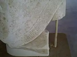 Détail du chiton (A1285).