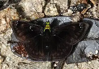 Description de cette image, également commentée ci-après