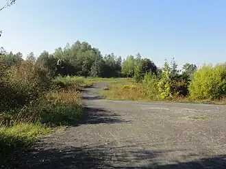 Le terril no&nbsp;259.