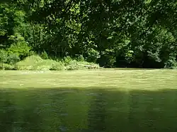 La Bienne en crue (250&nbsp;m3/s) au lieu-dit le Gour au Moines à Vaux-lès-Saint-Claude).