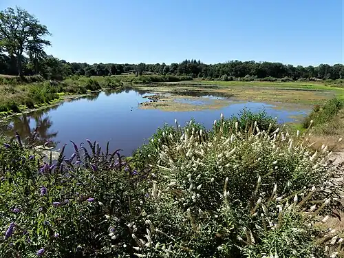 L'étang de la Tour.