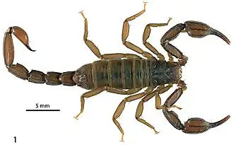 Description de cette image, également commentée ci-après