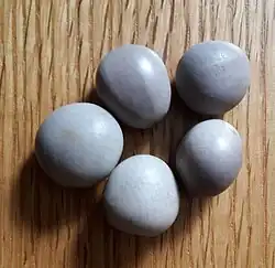 Graines de canique sèches.