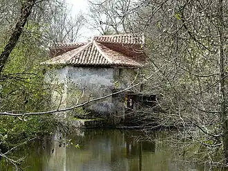 Le moulin de Rochereuil.