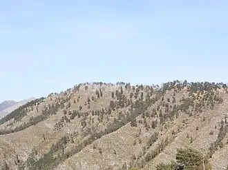 Image illustrative de l’article Cime du Grand Braus