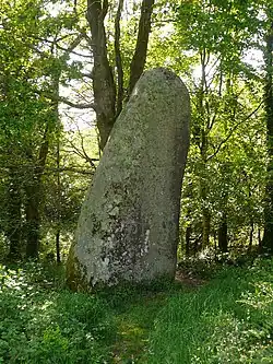 Grand menhir de Kerangosquer