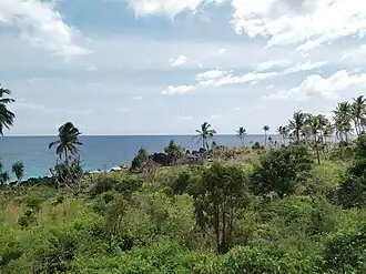 Description de l'image Grande Comore nature 2.jpg.