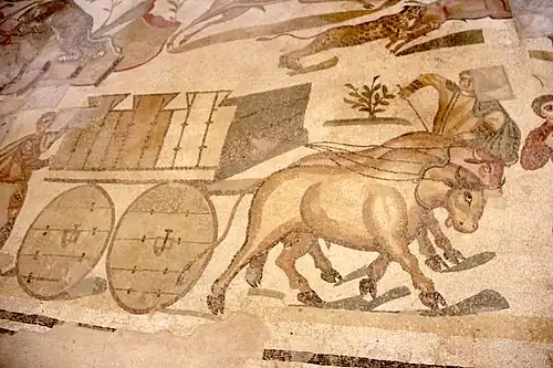 Chariot pour transporter le gibier capturé.