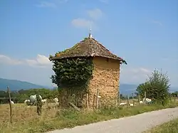 Grange en pisé à Granieu.