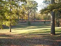 Coin boisé du parc.
