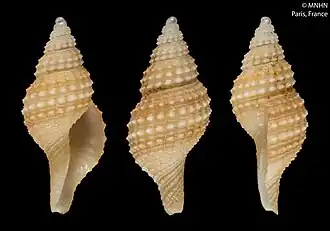 Description de cette image, également commentée ci-après