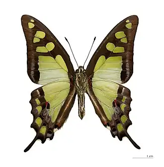 Description de cette image, également commentée ci-après