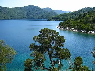 Image illustrative de l’article Mljet