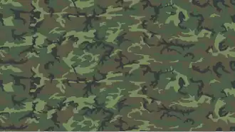 Motif de camouflage ERDL "basses terres" à dominante verte