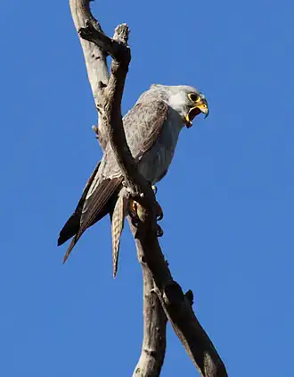 Description de cette image, également commentée ci-après