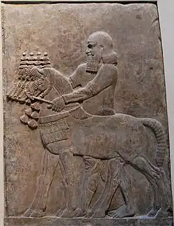 Écuyer conduisant des chevaux. Bas-relief de la façade L du palais.