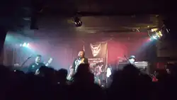 Description de l'image Groovy Aardvark au Zaricot.png.