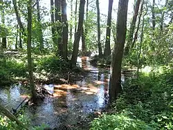 Parc naturel Dahme-Heideseen&nbsp;(de) en Brandebourg (Allemagne), 2013