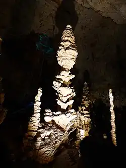 La « Pomme de pin ».