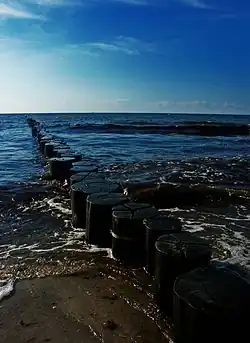 Pieux formant un épi à Markgrafenheide, Allemagne.