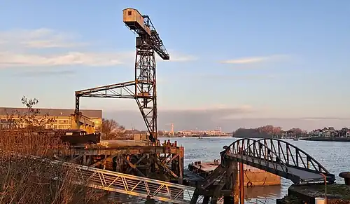 Grue noire, vue latérale