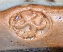 signature de Gustave Tiffoche