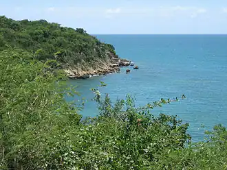 Image illustrative de l’article Forêt d'État de Guánica